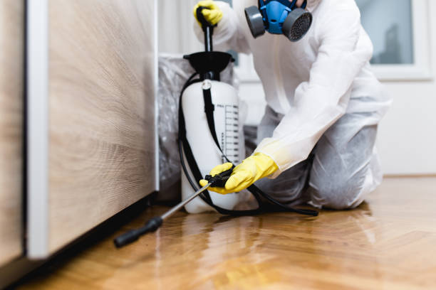 Best Best Pest Control Companies  in Glasgow, VA