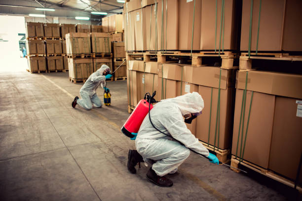 Best Pest Prevention Services  in Glasgow, VA