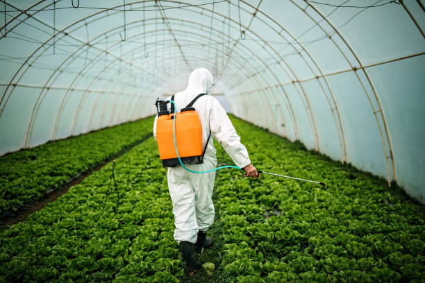 Best Pest Control Near Me in Glasgow, VA