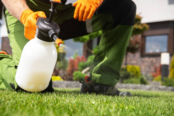 Best Residential Pest Control  in Glasgow, VA