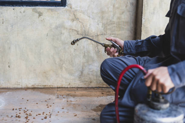Best Affordable Pest Control Services  in Glasgow, VA